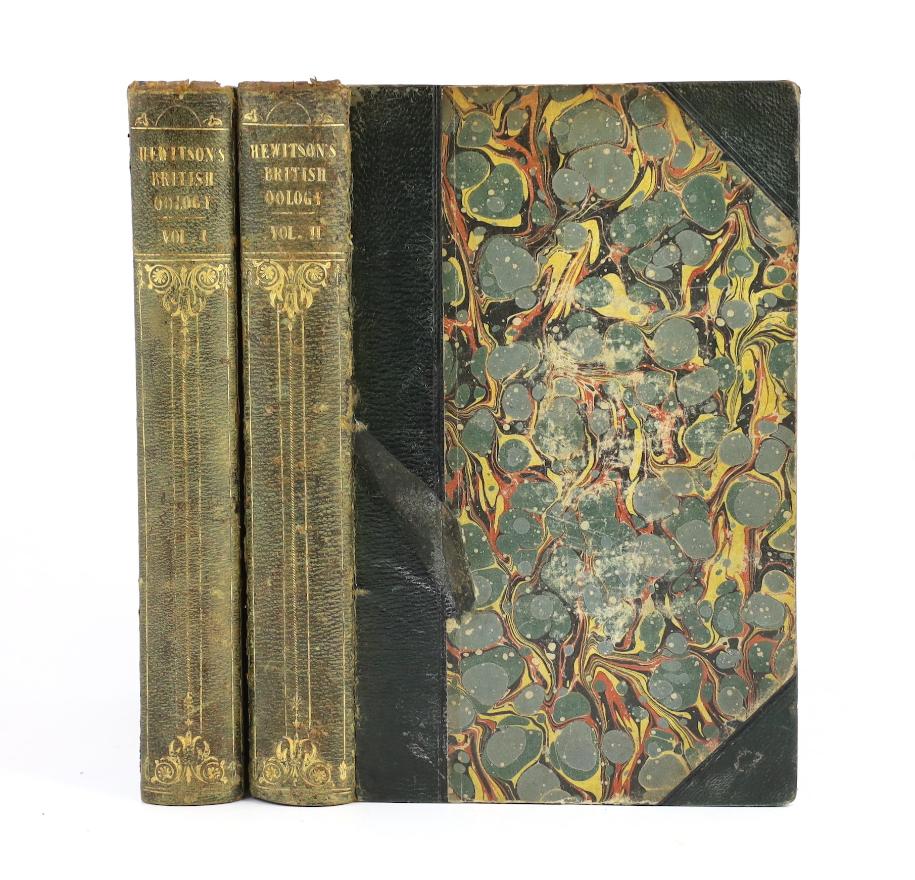Hewitson, William C. - - British Oology, being Illustrations of the Eggs of British Birds....2 vols. 156 coloured plates (with guards), subscribers list; contemp. green half morocco and marbled boards, gilt decorated pan